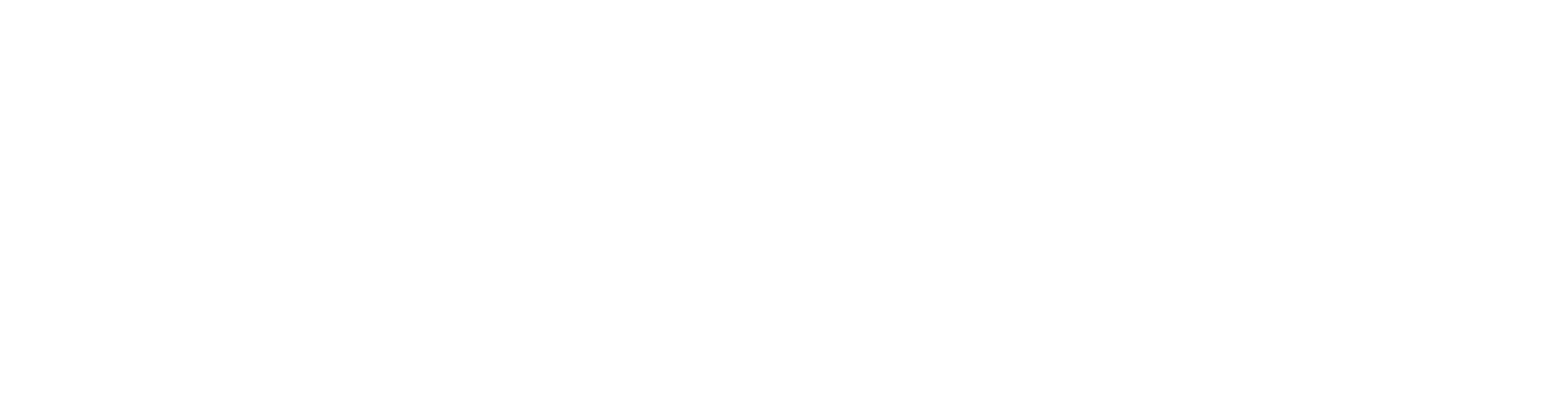 Friendly IT & Tech